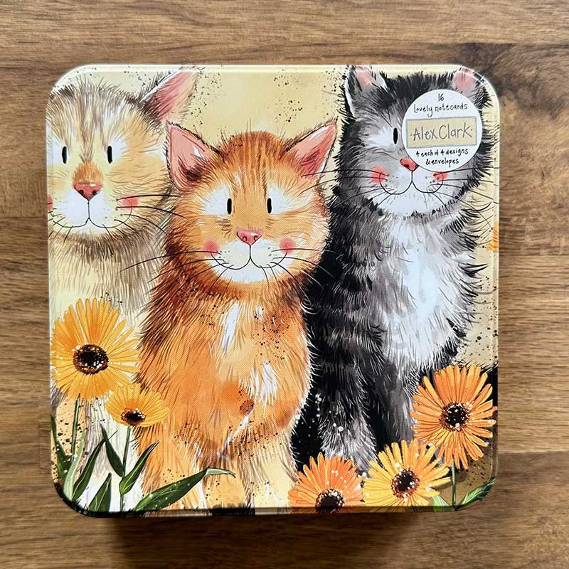 Cats Cards In A Tin