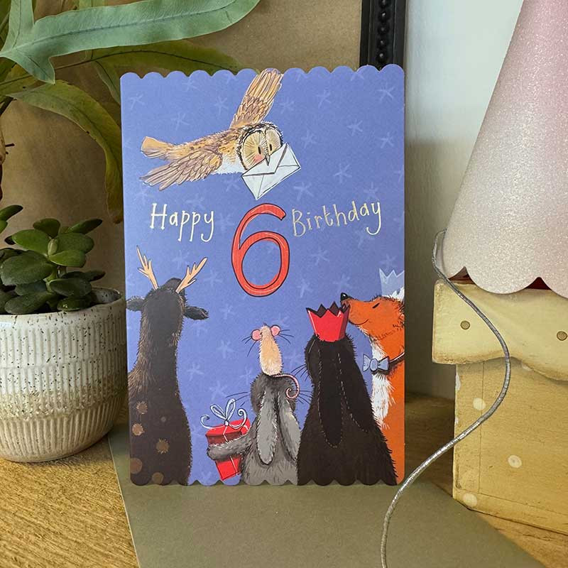6Th Birthday Card