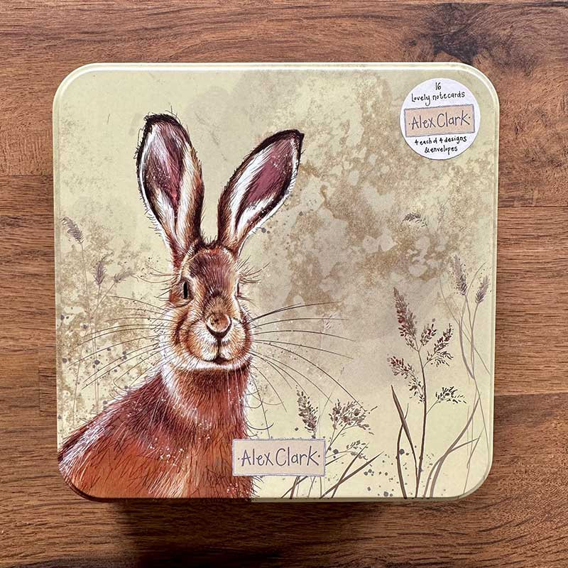 Hares Cards In A Tin