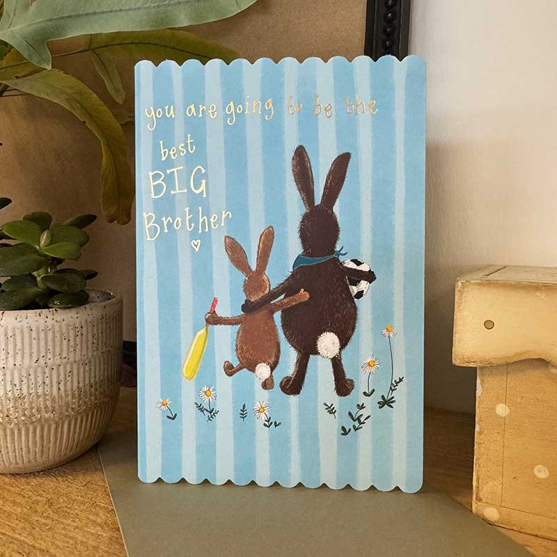 Bat And Ball Big Brother Card