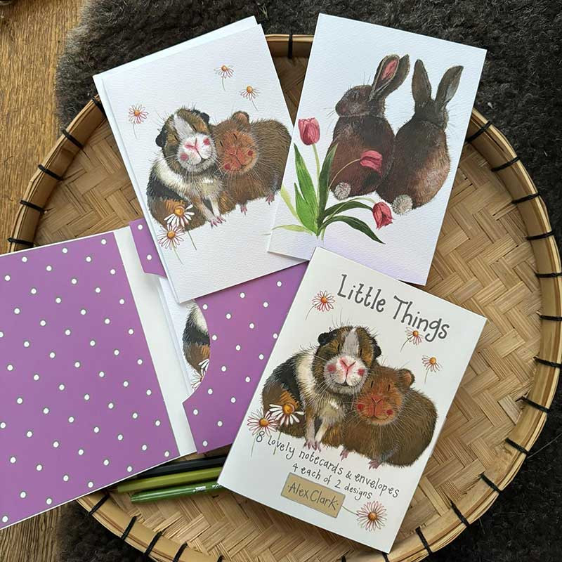 Little Thing Boxed Notecards