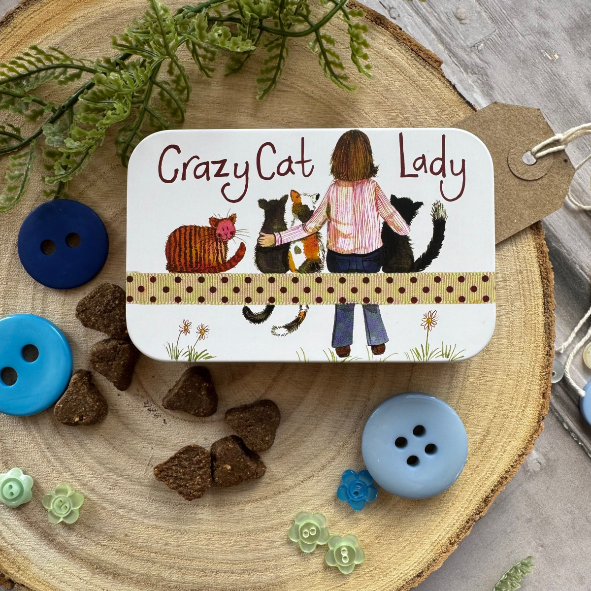 Crazy Cat Lady Small Rectangular Tin