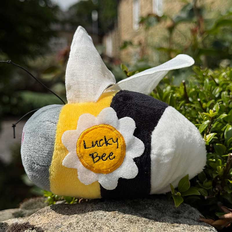 Lucky Bee
