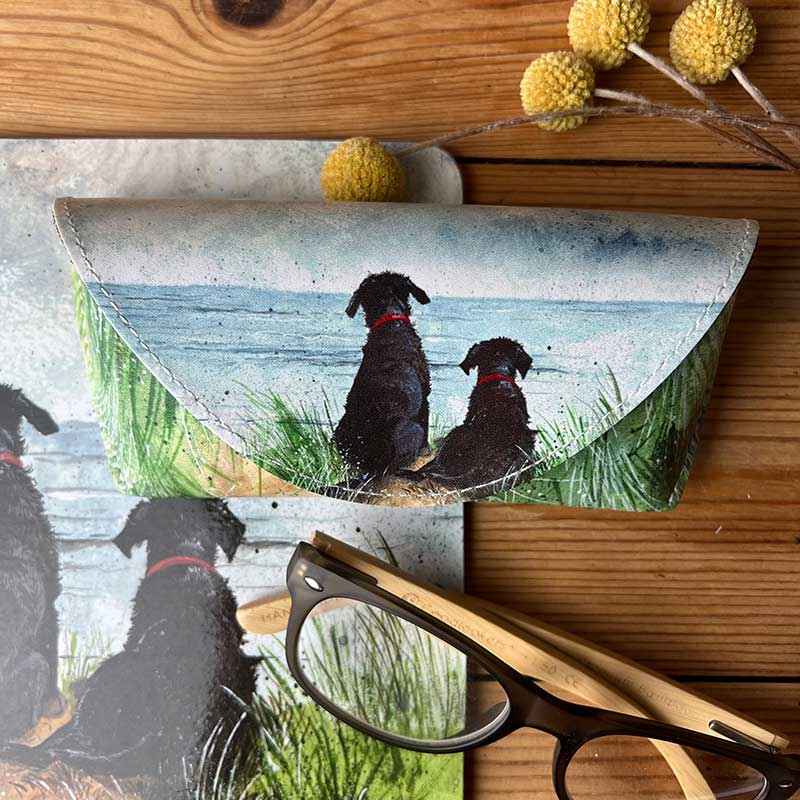 Dunes Glasses Case