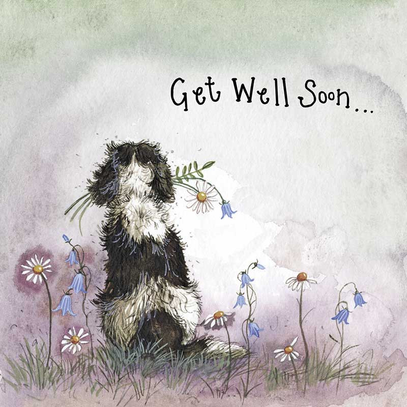 Starlight Spaniel Get Well Soon Foil Card