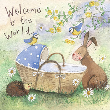 Welcome To The World Baby Boy Card