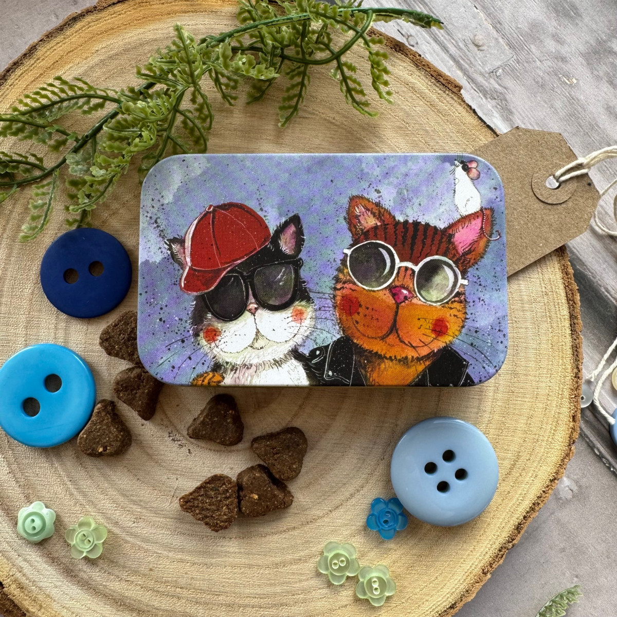 Cool Cats Small Rectangular Tin