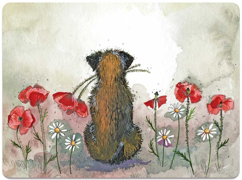 Border And Poppies Place Mat