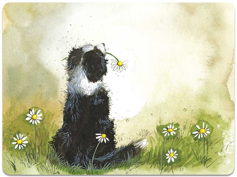 Collie And Flowers Place Mat