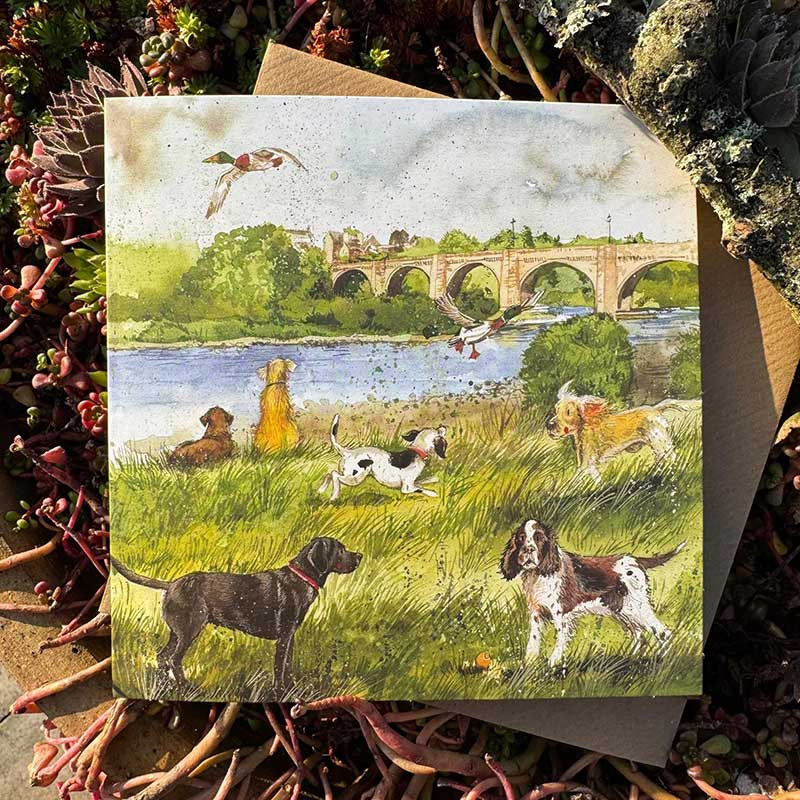 Along The River Blank Card