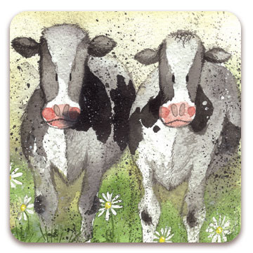 Curious Cows Fridge Magnet