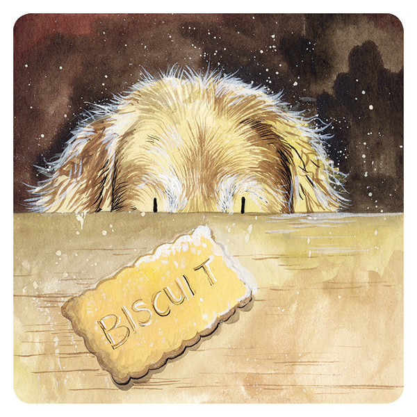 Biscuit Coaster
