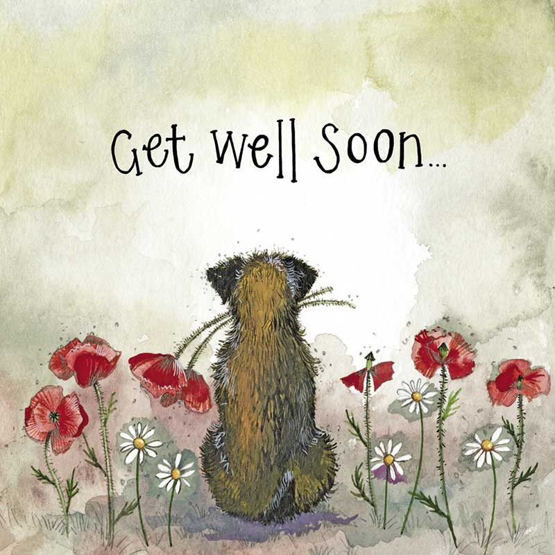 Starlight Ginger Cat Get Well Soon Foil Card