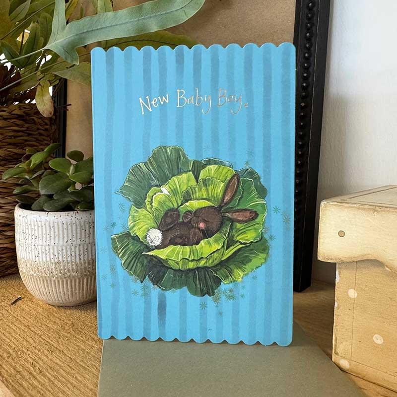 Baby Boy Card