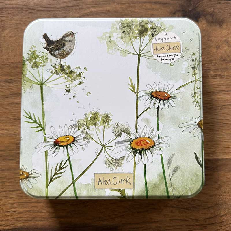 Birds Cards In A Tin