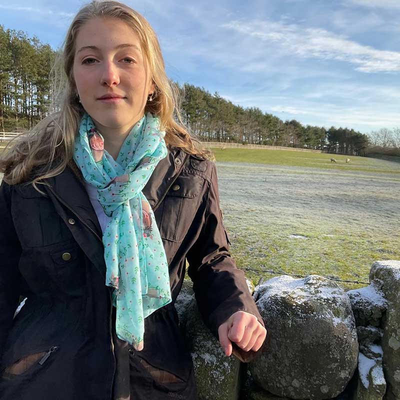 Horses Long Scarf