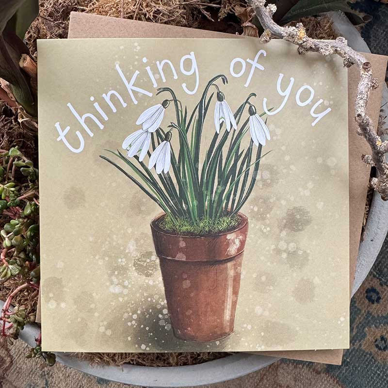 Snowdrop Sympathy Card