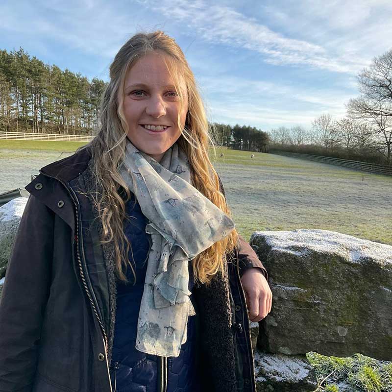 Sheep Long Scarf