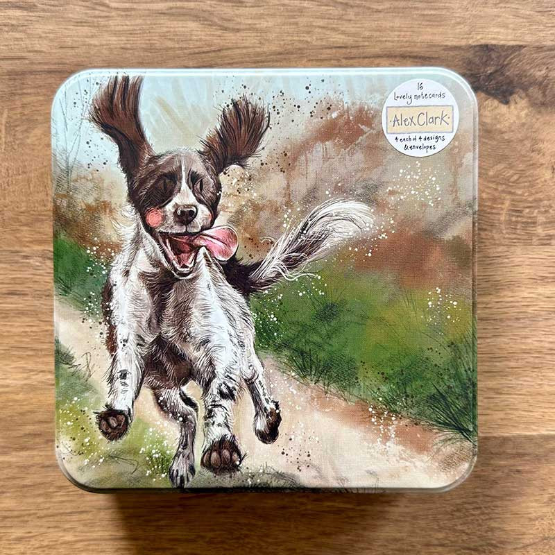 Dogs Cards In A Tin