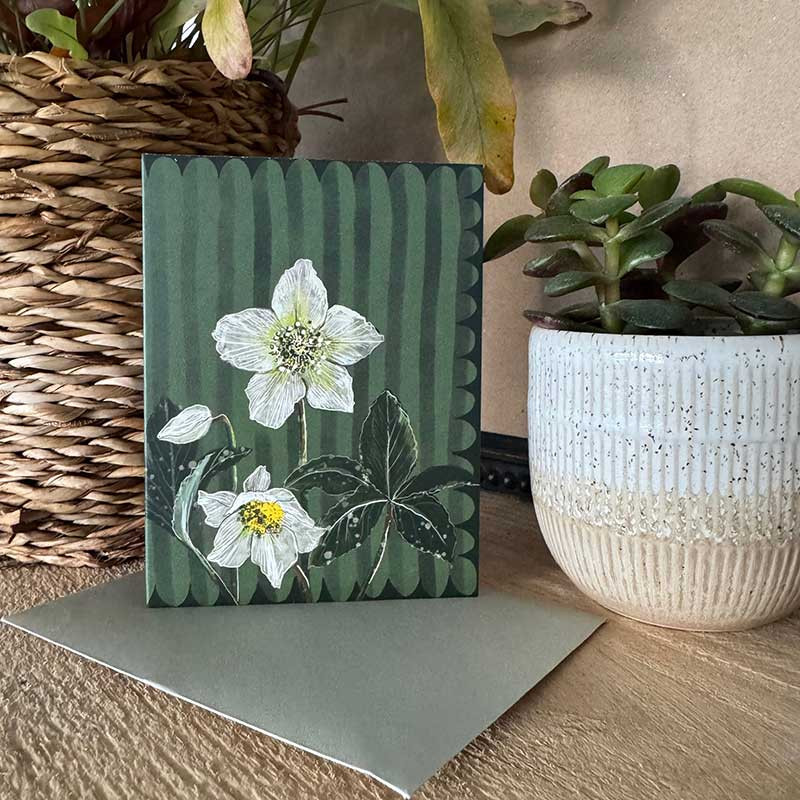 Hellebores Blank Card