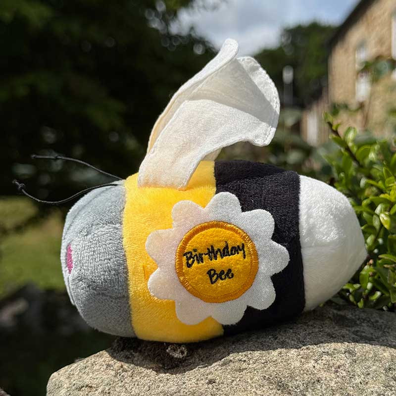 Birthday Bee